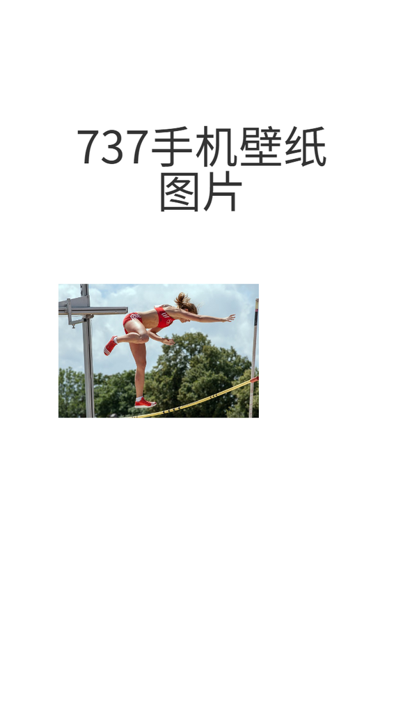 737手机壁纸图片
