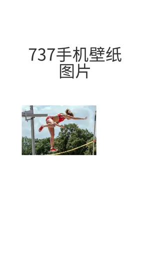 737手机壁纸图片