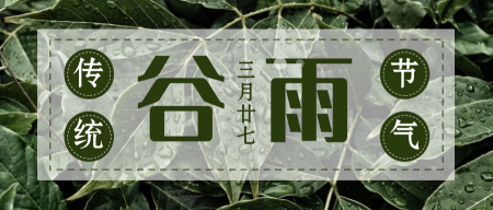 文艺清新传统节气谷雨公众号封面首图