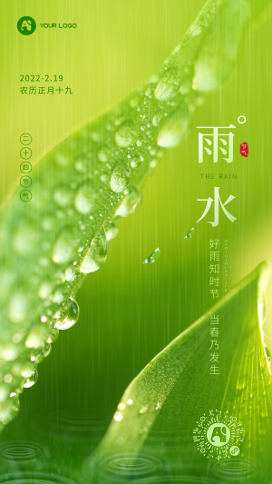 雨水节气节气绿色雨手机海报 