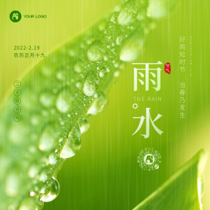雨水绿色传统节气清新文艺方形海报