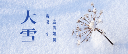 文艺清新大雪传统节气封面首图