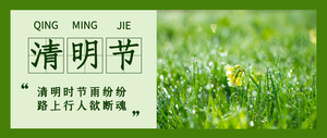 简约清新清明节公众号封面首图