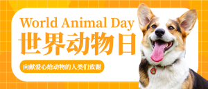 创意简约世界动物日微信封面首图
