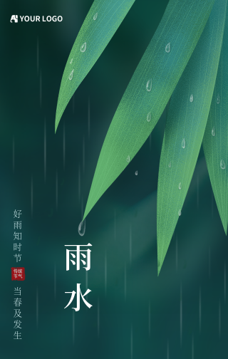 传统二十四节气雨水手机海报