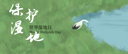 保护湿地世界湿地日公众号封面首图