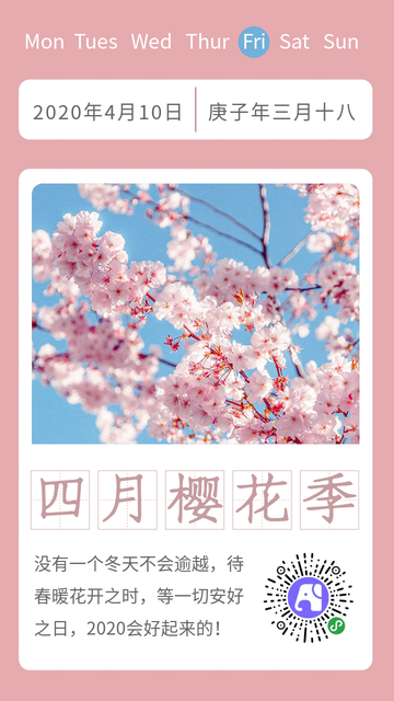 四月樱花季每日一签