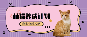 可爱卡通猫咪宠物微信封面首图