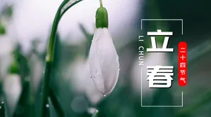 文艺清新立春横版海报