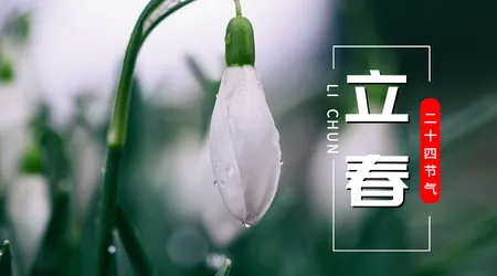文艺清新立春横版海报