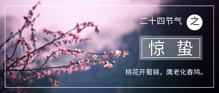 时尚简约惊蛰公众号封面首图