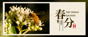 春分节气微信封面首图