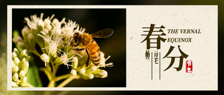 春分节气微信封面首图