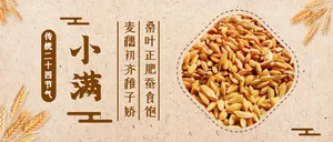 清新大气传统节气小满公众号封面首图