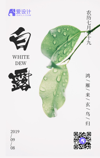 传统二十四节气白露手机海报