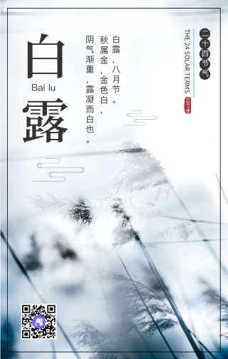 中国传统二十四节气之白露手机海报