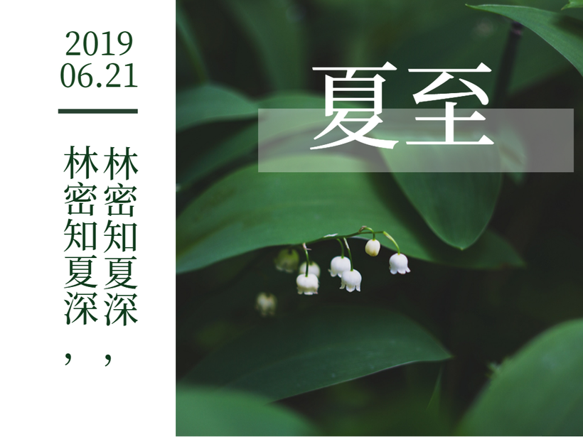 简约森系夏至节气公众号配图