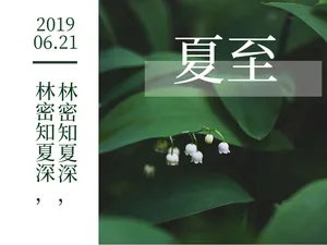 简约森系夏至节气公众号配图
