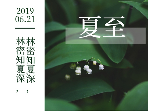 简约森系夏至节气公众号配图