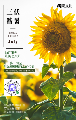 三伏酷暑七月天手机海报