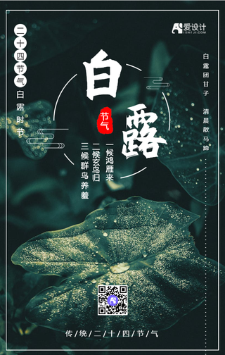 白露二十四节气海报