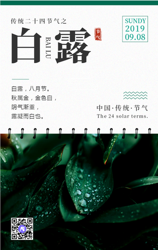 传统二十四节气之白露手机海报