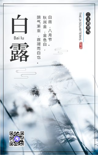 中国传统二十四节气之白露手机海报