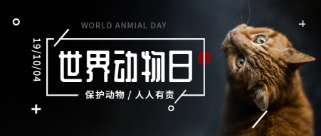 创意时尚简约世界动物日公益宣传手机海报