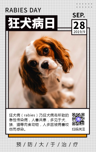 创意几何狂犬病日公益宣传手机海报