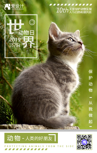 2019绿色关爱猫咪和谐世界动物保护日