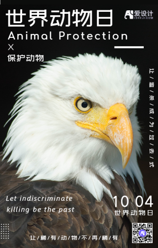 简约老鹰世界动物日手机海报