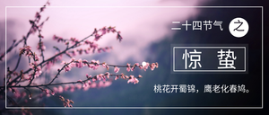 时尚简约惊蛰公众号封面首图