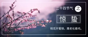 时尚简约惊蛰公众号封面首图