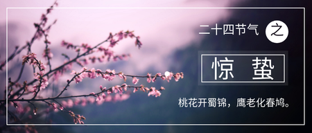 时尚简约惊蛰公众号封面首图