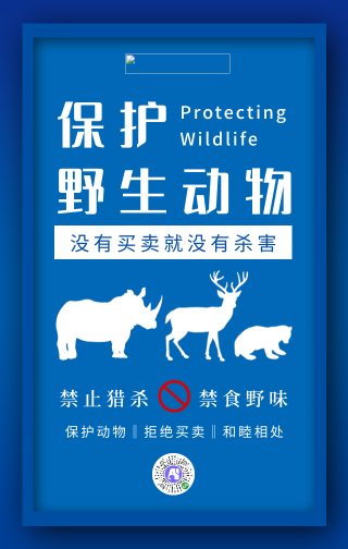 简约保护野生动物手机海报