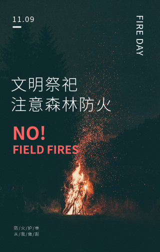 创意简约消防宣传日手机海报