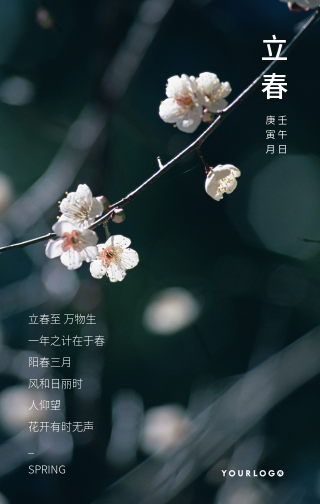 文艺清新传统节气立春鲜花绽开手机海报