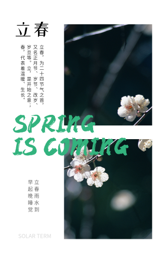 创意趣味传统节气立春节气问候手机海报