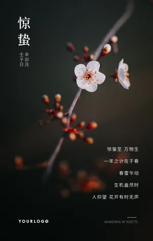文艺清新传统节气惊蛰节气问候手机海报