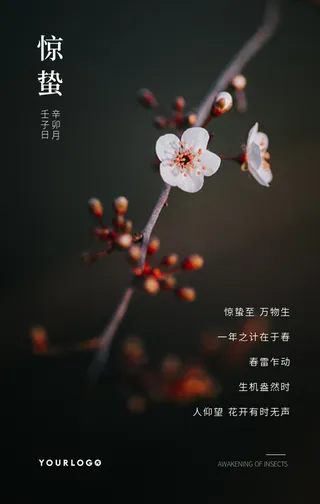 文艺清新传统节气惊蛰节气问候手机海报