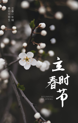 文艺清新传统节气立春时节节气问候手机海报