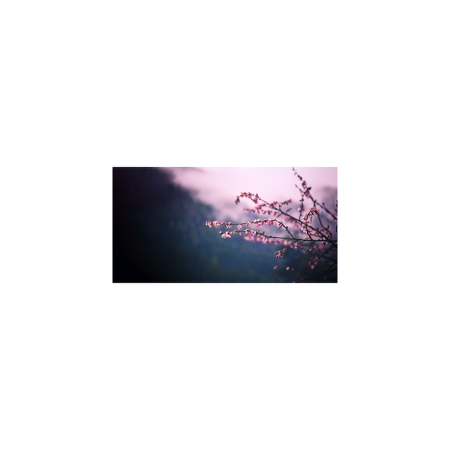 未命名12123