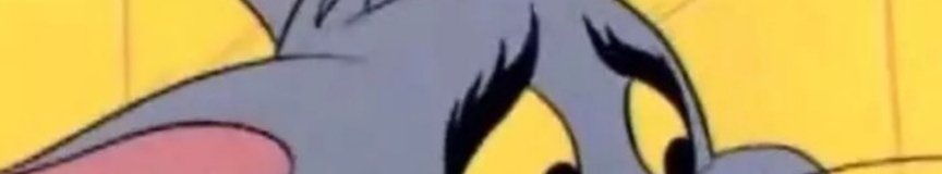 未命名猫222