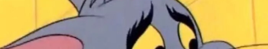 未命名猫222