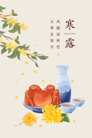 中国风寒露节气插画海报