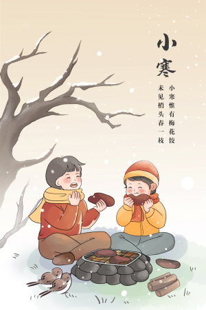 中国风小寒大寒节气插画海报