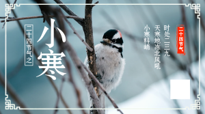 中国风简约大气小寒横版海报
