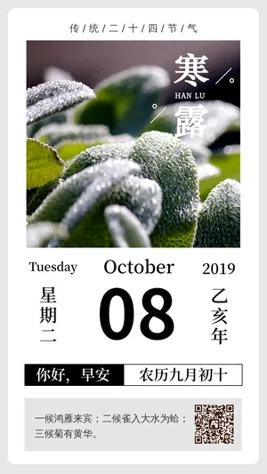文艺简约二十四节气之寒露每日一签