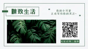 创意文艺简约精致生活扫码关注横版二维码
