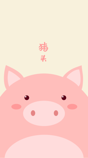猪头可爱小猪壁纸